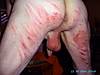 BILD1311.JPG